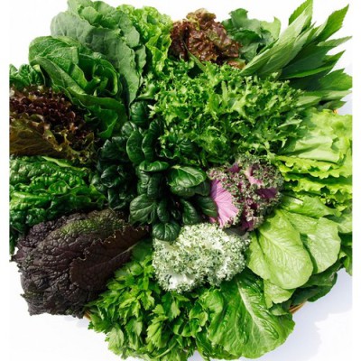 득템찬스! 싱싱한 비타민채소, 내돈내산 후기와 꿀팁 대방출!