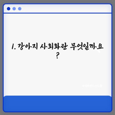 강아지 사회화 완벽 가이드: 행복한 반려견 생활을 위한 필수 지침
